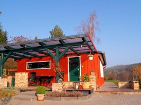 Detached holiday home in the Harz with wood stove and covered terrace